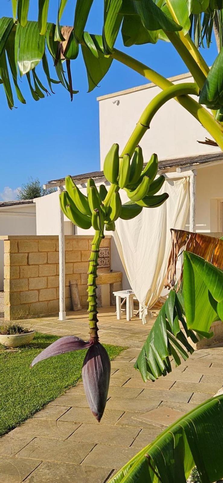 Tenuta Puloni Otranto Exterior photo